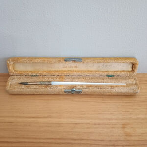 Antique Souvenir Victorian Mother Pearl Fountain Ink Dip Pen W/ Case